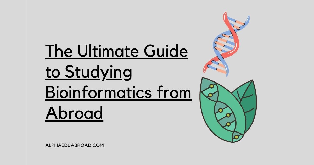 The Ultimate Guide to Studying Bioinformatics from Abroad