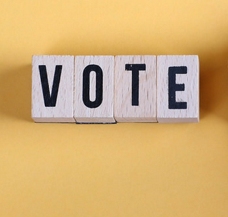 Banner for 'Why vote? Voter psychology' resource. Shows four wooden letters spelling out 'vote'.