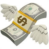 Money with wings