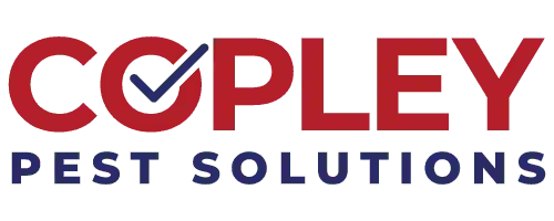 Copley Pest Solutions