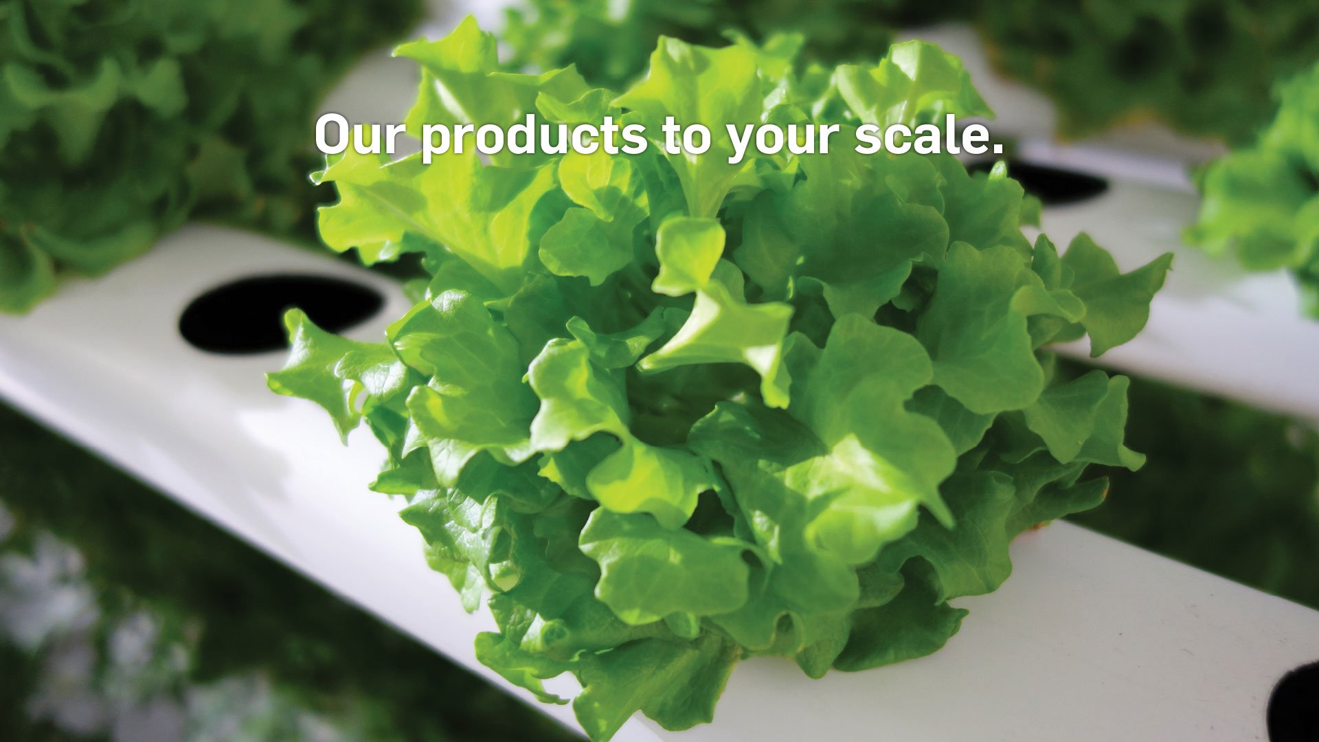 Our products to your scale