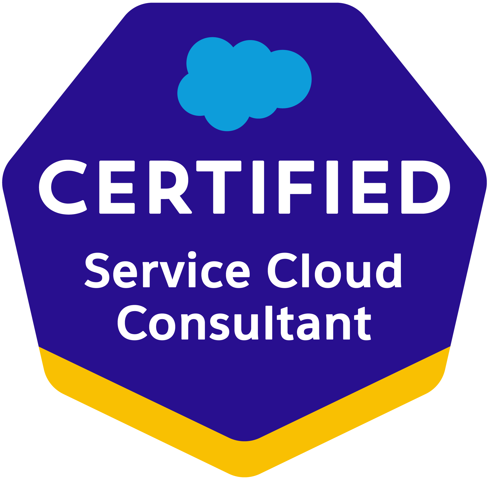 Service cloud consultant