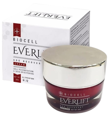 Everlift