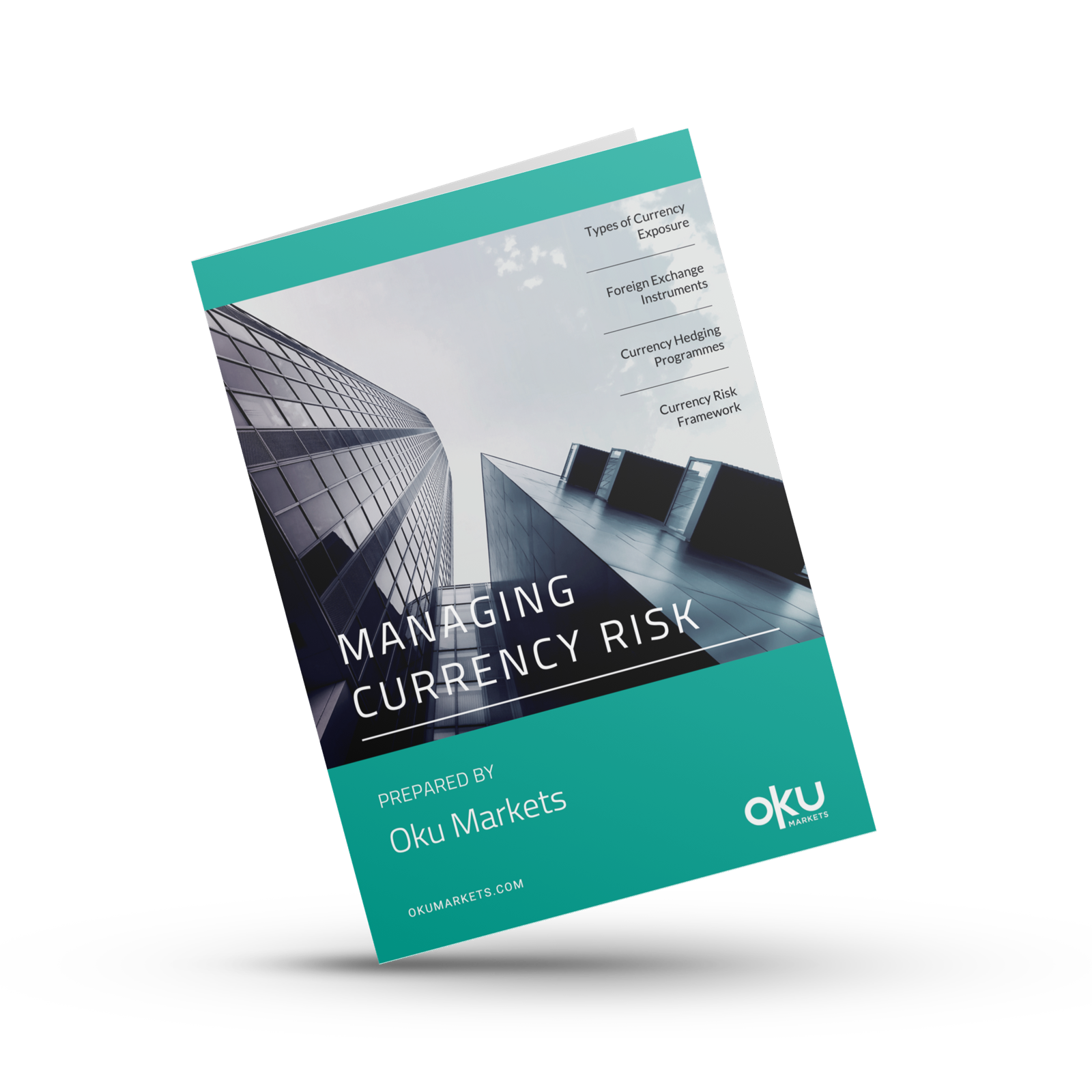 Oku Markets Currency Risk Guide