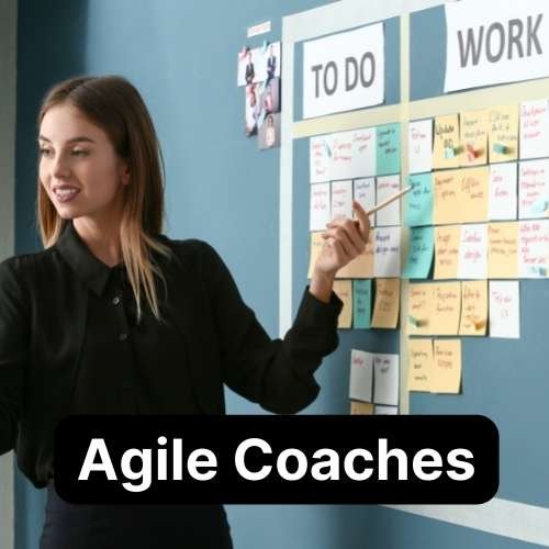 Agile Coaches