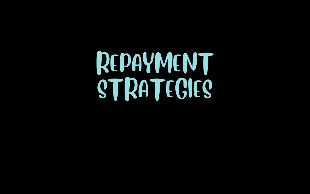 10 repayment strategies