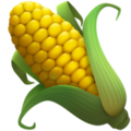 Ear of corn 1f33d